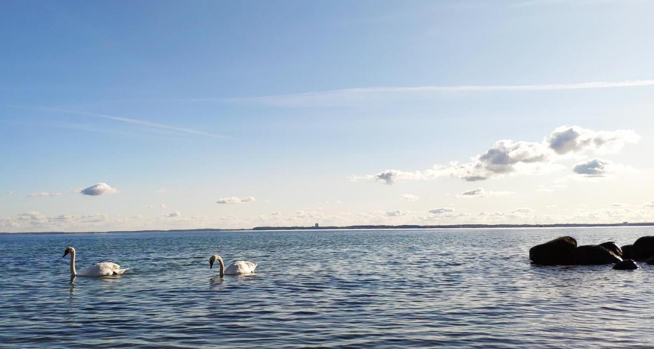 Zum Wohlfuehlen Ferienwohnung Fuer Max 5 Erwachsene Und 1 Kind, Schwimmbad Vor Der Tuer, Tiere Erlaubt Sierksdorf Esterno foto
